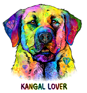 Kangal, Anatolischer Hirtenhund, Herdenschutzhund