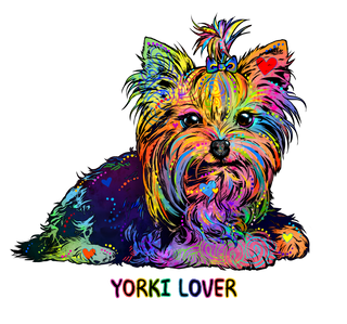 yorkshire terrier, yorki, yorkie, yorky, mini yorki, mini yorky, yorkywelpe, yorky welpe, yorki welpe,