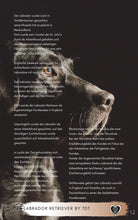 Laden Sie das Bild in den Galerie-Viewer, Labby, Labrador, Labrador Retriever, Retriever, Jagdhunde, pflegeleichte Hunde, Hunde für Reiter, Stall Hunde, Ebook Hunde, Enzyklopädie der Hunderassen, Info Hunderassen, Welcher Hund paßt zu mir, Hunderassen geeignet für Familien, Kleine Hunderassen, Pflegeleichte Hunderassen, beliebte Hunderassen, Rassehunde beliebt, Hunde Krank, Hunde für Familien, Hunde für Kinder,