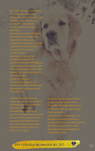 Laden Sie das Bild in den Galerie-Viewer, Rassestandard, Goldy, Golden Retriever, Retriever, Jagdhunde, Langhaarige Hunde, Ebook Hunde, Enzyklopädie der Hunderassen, Info Hunderassen, Welcher Hund paßt zu mir, Hunderassen geeignet für Familien, Kleine Hunderassen, Pflegeleichte Hunderassen, beliebte Hunderassen, Rassehunde beliebt, Hunde Krank