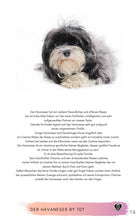 Laden Sie das Bild in den Galerie-Viewer, Havi, Havaneser, pflegeleichte Hunde, leicht zu erziehende Hunde, Pudelähnliche Hunde, nicht haarende Hunde, Hunde ohne Fellwechsel, Langhaarige Hunde, Ebook Hunde, Enzyklopädie der Hunderassen, Info Hunderassen, Welcher Hund paßt zu mir, Hunderassen geeignet für Familien, Kleine Hunderassen, Pflegeleichte Hunderassen, beliebte Hunderassen, Rassehunde beliebt, Hunde Krank