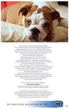 Laden Sie das Bild in den Galerie-Viewer, Englische Bulldogge, Bulldogge, Bully, Bullie, Bulli, kurzhaarige Hunde, gemütliche Hunde, ruhigere Hunde, dickköpfige Hunde, Falten Hunde, Faltenhunde, Ebook Hunde, Enzyklopädie der Hunderassen, Info Hunderassen, Welcher Hund paßt zu mir, Hunderassen geeignet für Familien, Kleine Hunderassen, Pflegeleichte Hunderassen, beliebte Hunderassen, Rassehunde beliebt, Hunde Krank, Hunde für Familien, Hunde für Kinder,