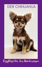 Laden Sie das Bild in den Galerie-Viewer, Chi, Chihuahua, Zwerghunde, Schoßhunde, Ebook Hunde, Enzyklopädie der Hunderassen, Info Hunderassen, Welcher Hund paßt zu mir, Hunderassen geeignet für Familien, Kleine Hunderassen, Pflegeleichte Hunderassen, beliebte Hunderassen, Rassehunde beliebt, Hunde Krank
