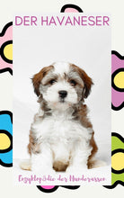 Laden Sie das Bild in den Galerie-Viewer, Havi, Havaneser, pflegeleichte Hunde, leicht zu erziehende Hunde, Pudelähnliche Hunde, nicht haarende Hunde, Hunde ohne Fellwechsel, Langhaarige Hunde, Ebook Hunde, Enzyklopädie der Hunderassen, Info Hunderassen, Welcher Hund paßt zu mir, Hunderassen geeignet für Familien, Kleine Hunderassen, Pflegeleichte Hunderassen, beliebte Hunderassen, Rassehunde beliebt, Hunde Krank