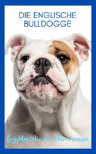 Laden Sie das Bild in den Galerie-Viewer, Englische Bulldogge, Bulldogge, Bully, Bullie, Bulli, kurzhaarige Hunde, gemütliche Hunde, ruhigere Hunde, dickköpfige Hunde, Falten Hunde, Faltenhunde, Ebook Hunde, Enzyklopädie der Hunderassen, Info Hunderassen, Welcher Hund paßt zu mir, Hunderassen geeignet für Familien, Kleine Hunderassen, Pflegeleichte Hunderassen, beliebte Hunderassen, Rassehunde beliebt, Hunde Krank, Hunde für Familien, Hunde für Kinder,