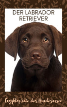 Laden Sie das Bild in den Galerie-Viewer, Labby, Labrador, Labrador Retriever, Retriever, Jagdhunde, pflegeleichte Hunde, Hunde für Reiter, Stall Hunde, Ebook Hunde, Enzyklopädie der Hunderassen, Info Hunderassen, Welcher Hund paßt zu mir, Hunderassen geeignet für Familien, Kleine Hunderassen, Pflegeleichte Hunderassen, beliebte Hunderassen, Rassehunde beliebt, Hunde Krank, Hunde für Familien, Hunde für Kinder,