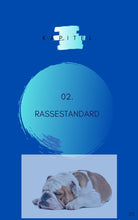 Laden Sie das Bild in den Galerie-Viewer, Englische Bulldogge, Bulldogge, Bully, Bullie, Bulli, kurzhaarige Hunde, gemütliche Hunde, ruhigere Hunde, dickköpfige Hunde, Falten Hunde, Faltenhunde, Ebook Hunde, Enzyklopädie der Hunderassen, Info Hunderassen, Welcher Hund paßt zu mir, Hunderassen geeignet für Familien, Kleine Hunderassen, Pflegeleichte Hunderassen, beliebte Hunderassen, Rassehunde beliebt, Hunde Krank, Hunde für Familien, Hunde für Kinder,