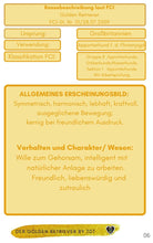 Laden Sie das Bild in den Galerie-Viewer, Rassestandard, Goldy, Golden Retriever, Retriever, Jagdhunde, Langhaarige Hunde, Ebook Hunde, Enzyklopädie der Hunderassen, Info Hunderassen, Welcher Hund paßt zu mir, Hunderassen geeignet für Familien, Kleine Hunderassen, Pflegeleichte Hunderassen, beliebte Hunderassen, Rassehunde beliebt, Hunde Krank