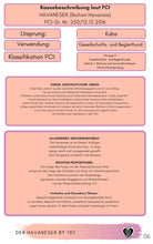 Laden Sie das Bild in den Galerie-Viewer, Havi, Havaneser, pflegeleichte Hunde, leicht zu erziehende Hunde, Pudelähnliche Hunde, nicht haarende Hunde, Hunde ohne Fellwechsel, Langhaarige Hunde, Ebook Hunde, Enzyklopädie der Hunderassen, Info Hunderassen, Welcher Hund paßt zu mir, Hunderassen geeignet für Familien, Kleine Hunderassen, Pflegeleichte Hunderassen, beliebte Hunderassen, Rassehunde beliebt, Hunde Krank, Rassestandard