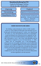 Laden Sie das Bild in den Galerie-Viewer, Rassestandard, Englische Bulldogge, Bulldogge, Bully, Bullie, Bulli, kurzhaarige Hunde, gemütliche Hunde, ruhigere Hunde, dickköpfige Hunde, Falten Hunde, Faltenhunde, Ebook Hunde, Enzyklopädie der Hunderassen, Info Hunderassen, Welcher Hund paßt zu mir, Hunderassen geeignet für Familien, Kleine Hunderassen, Pflegeleichte Hunderassen, beliebte Hunderassen, Rassehunde beliebt, Hunde Krank, Hunde für Familien, Hunde für Kinder,