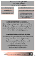 Laden Sie das Bild in den Galerie-Viewer, Flat, Flat Coated Retriever, Retriever, Jagdhunde, Langhaarige Hunde, Ebook Hunde, Enzyklopädie der Hunderassen, Info Hunderassen, Welcher Hund paßt zu mir, Hunderassen geeignet für Familien, Kleine Hunderassen, Pflegeleichte Hunderassen, beliebte Hunderassen, Rassehunde beliebt, Hunde Krank, Rassestandard