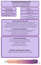 Laden Sie das Bild in den Galerie-Viewer, Chi, Chihuahua, Zwerghunde, Schoßhunde, Ebook Hunde, Enzyklopädie der Hunderassen, Info Hunderassen, Welcher Hund paßt zu mir, Hunderassen geeignet für Familien, Kleine Hunderassen, Pflegeleichte Hunderassen, beliebte Hunderassen, Rassehunde beliebt, Hunde Krank, Rassestandard