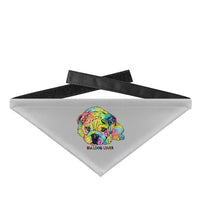 Laden Sie das Bild in den Galerie-Viewer, Pacific Grey-1157