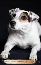 Laden Sie das Bild in den Galerie-Viewer, Jacky, Jackie, Jack Russell Terrier, kurzhaarige Hunde, Terrier, kleine Hunde, pflegeleichte Hunde, Hunde für Reiter, Stall Hunde, Ebook Hunde, Enzyklopädie der Hunderassen, Info Hunderassen, Welcher Hund paßt zu mir, Hunderassen geeignet für Familien, Kleine Hunderassen, Pflegeleichte Hunderassen, beliebte Hunderassen, Rassehunde beliebt, Hunde Krank
