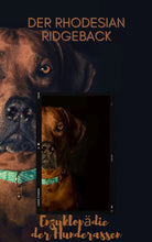 Laden Sie das Bild in den Galerie-Viewer, Rhodesian Ridgeback, Ridgy,Jagdhunde, kurzhaarige Hunde, Afrikanischer Löwenhund, Löwen Jagdhund, pflegeleichte Hunde, Hunde für Reiter, Stall Hunde, Ebook Hunde, Enzyklopädie der Hunderassen, Info Hunderassen, Welcher Hund paßt zu mir, Hunderassen geeignet für Familien, Kleine Hunderassen, Pflegeleichte Hunderassen, beliebte Hunderassen, Rassehunde beliebt, Hunde Krank, Hunde für Familien, Hunde für Kinder,
