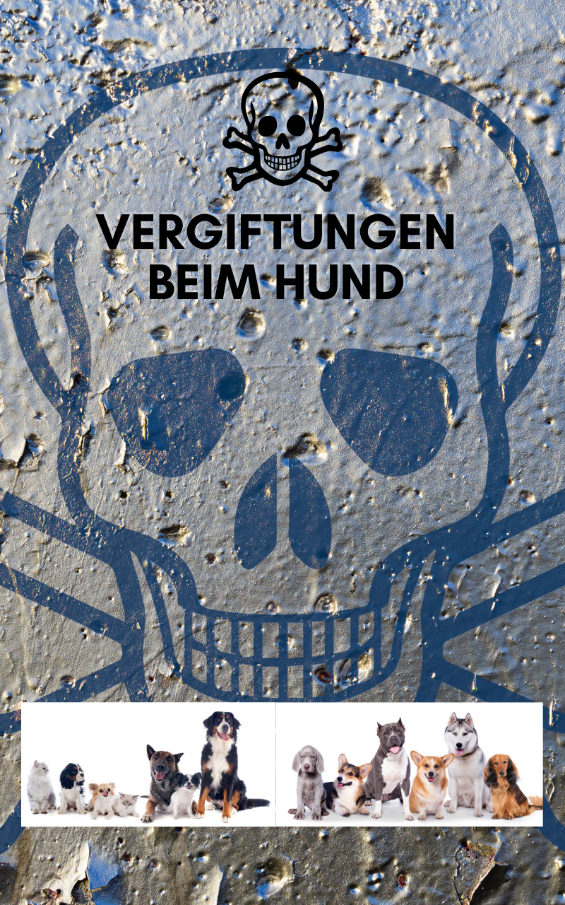 ☠️  E-Book Vergiftungen beim Hund ☠️