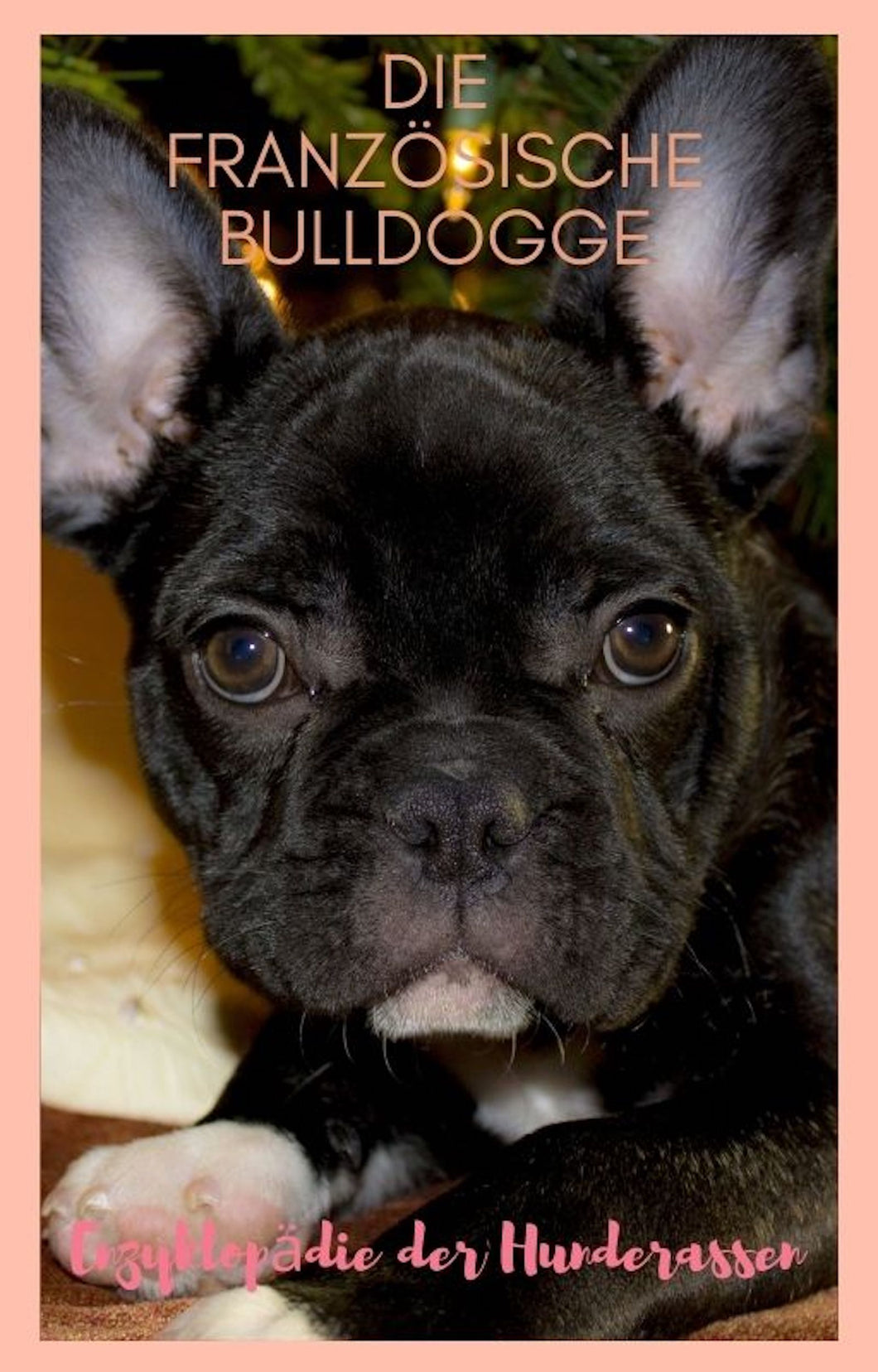 Französische Bulldogge, Bulldogge, Bully, Bullie, Bulli, kurzhaarige Hunde, gemütliche Hunde,  dickköpfige Hunde, Falten Hunde, Faltenhunde, kleine Hunde, pflegeleichte Hunde, Ebook Hunde, Enzyklopädie der Hunderassen, Info Hunderassen, Welcher Hund paßt zu mir, Hunderassen geeignet für Familien, Kleine Hunderassen, Pflegeleichte Hunderassen, beliebte Hunderassen, Rassehunde beliebt, Hunde Krank, Hunde für Familien, Hunde für Kinder,